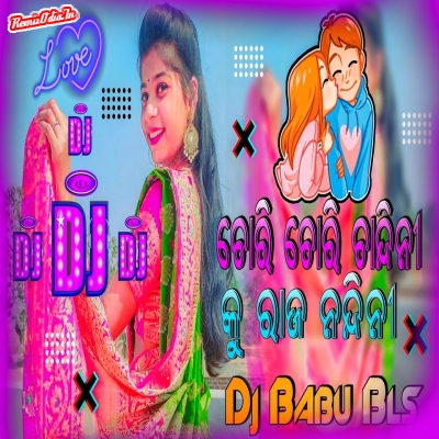 Chori Chori Chandini Ku Raja Nandini Odia Dj